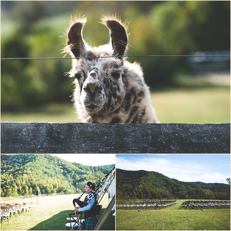 Claxton Farm ceremony