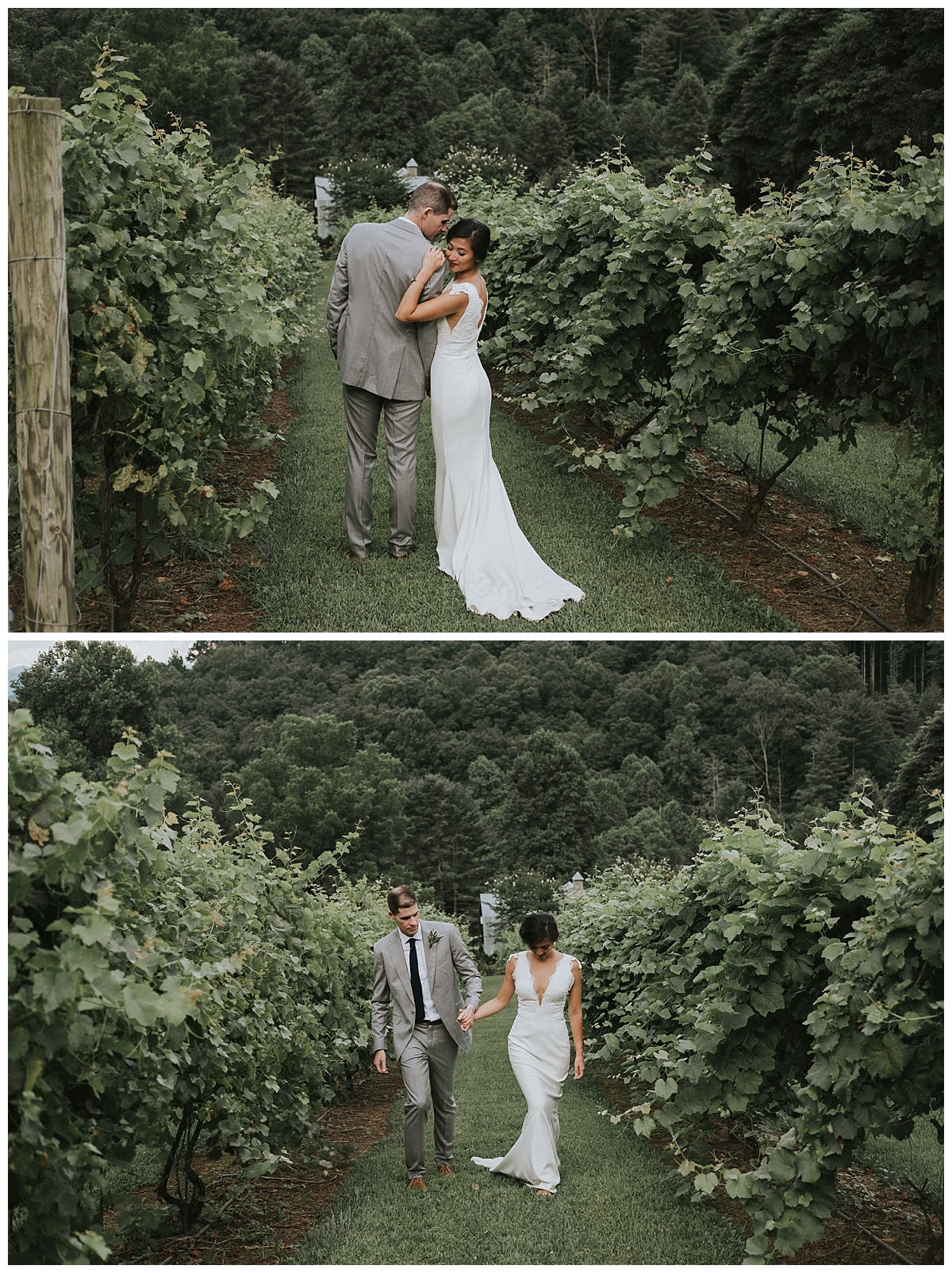 Bride and groom in vineyard